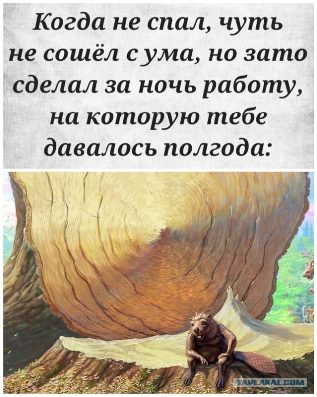 Жена собралась разводиться! Часть 2