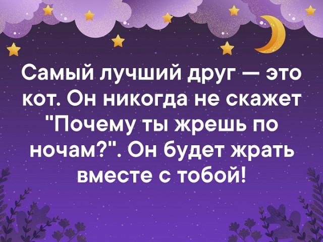 Жизнь домашнего приюта "Котоленд" 418