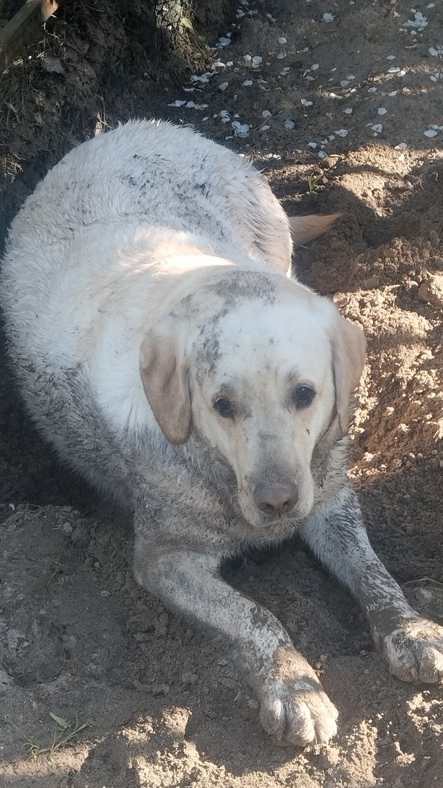 А у Даны д.р. Ей 10 лет!