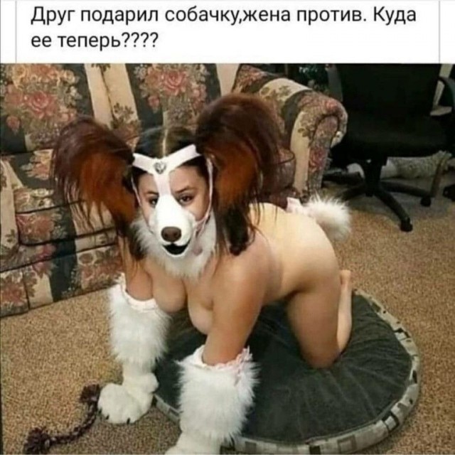 Так себе картинки 26.11.24