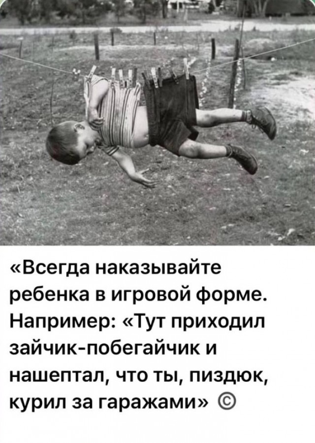 Так себе картинки 19.02.25