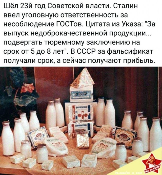 Фальсификат молочной продукции у 14 производителей