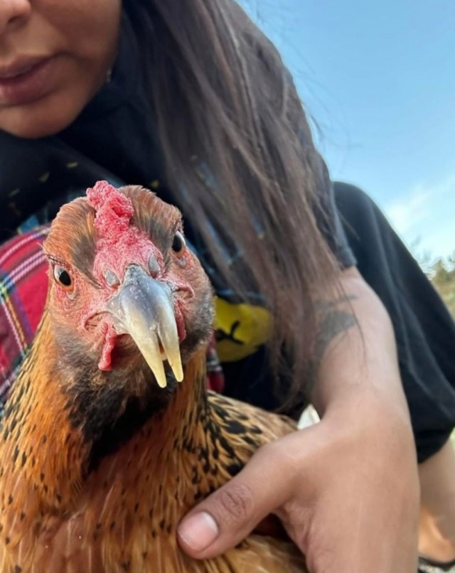 Заряд позитива: взгляните на 25 самых забавных снимков