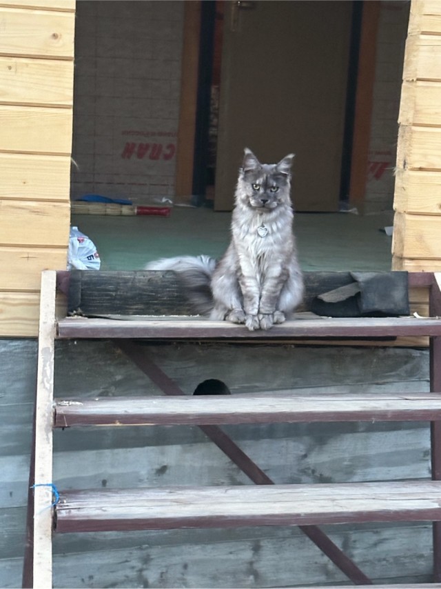 Куно-вторник!