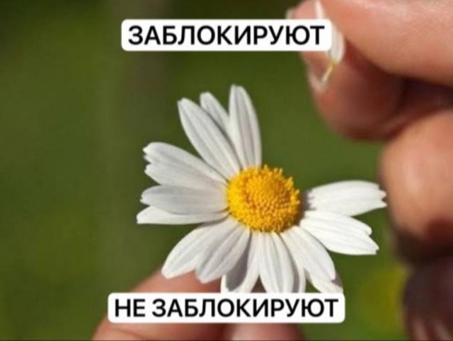 Так себе картинки 03.03.26