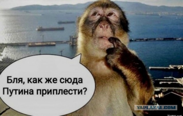 Там, где всегда полночь