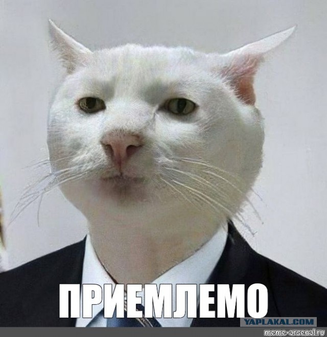 Вы не понимаете - это лофт!