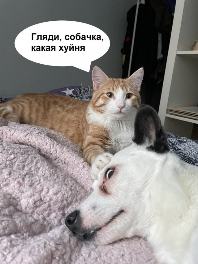 И жили они, долго и счастливо
