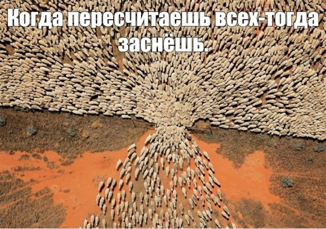 Посоветуйте средство от бессонницы.