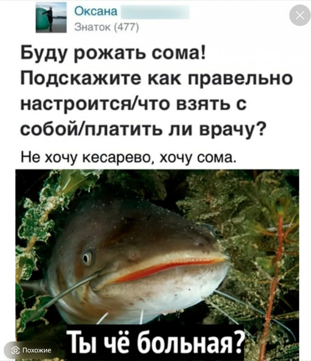 Предложение