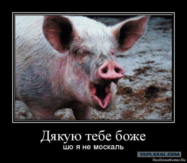 Россия не ревнует Украину к ЕС