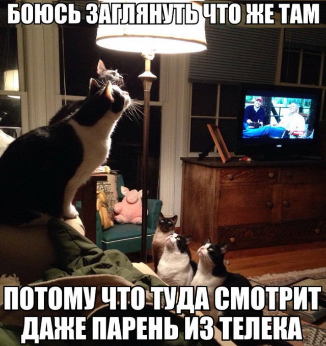Не про олимпиаду
