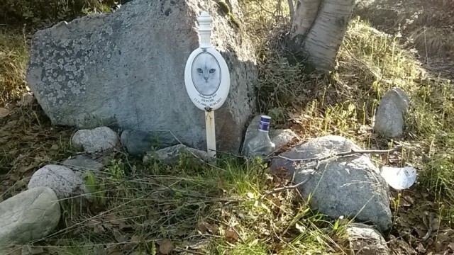 Кладбище домашних любимцев.