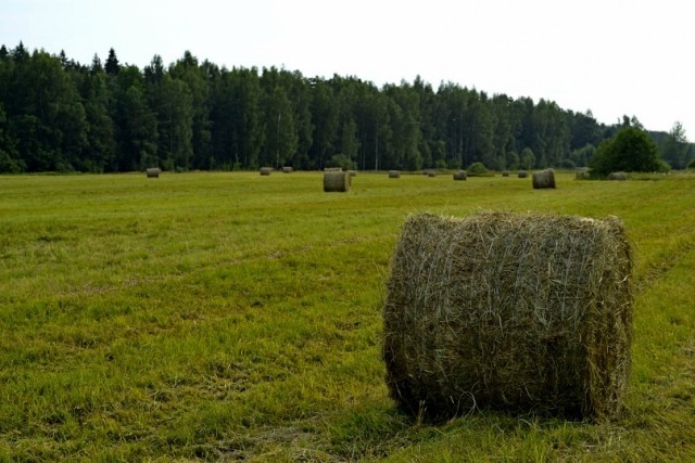 Фотки, фото, фотографии