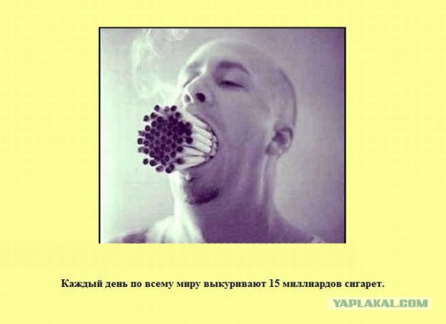 20 фактов обо всем