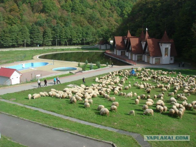 Карпаты