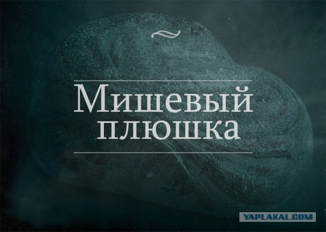 Просто картинки