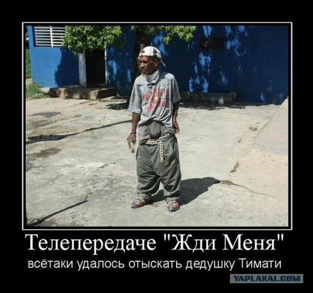 Все случаи плагиата от Тимати