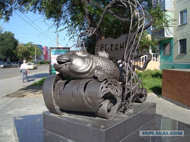 Ротан тоже рыба