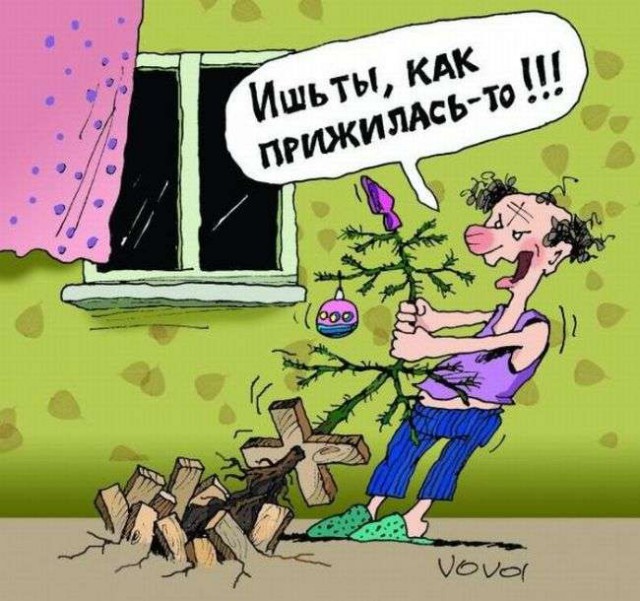 Подборка прикольных фото на пятницу