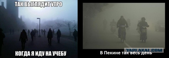 Картинки и демотиваторы