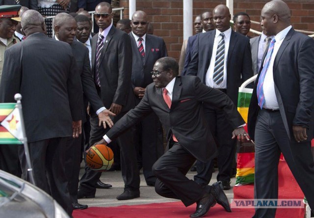Пожабим президента Зимбабве?