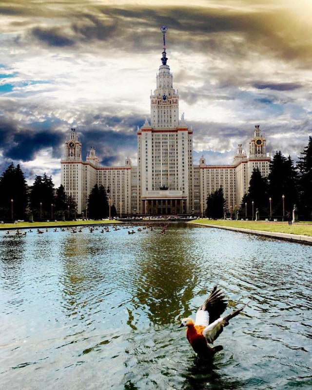 На Фоне Мгу