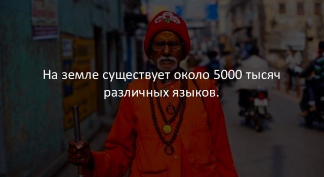 40 интересных фактов в картинках.