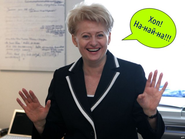 Литва готова остановить «агрессора»