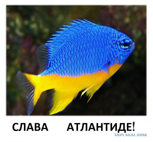 Калибры с крейсеров? Полное фуфло!