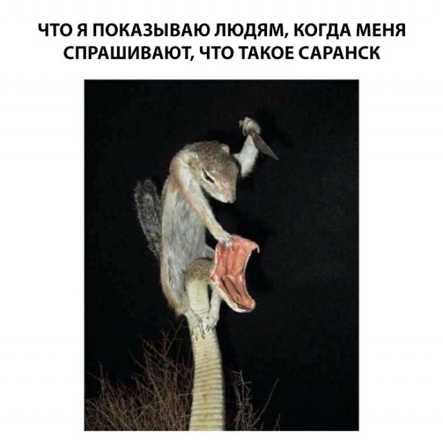 Немного картинок в этот четверг