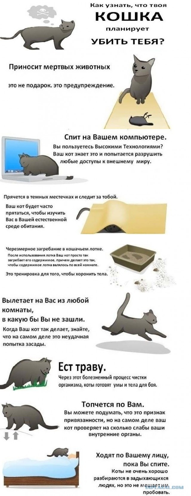 План провалился :)