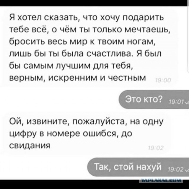 Анекдоты, соц-сети, истории и картинки с надписями