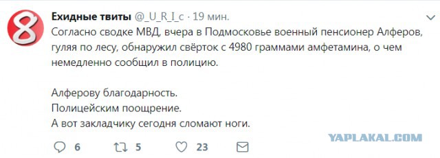 Кривые зеркала