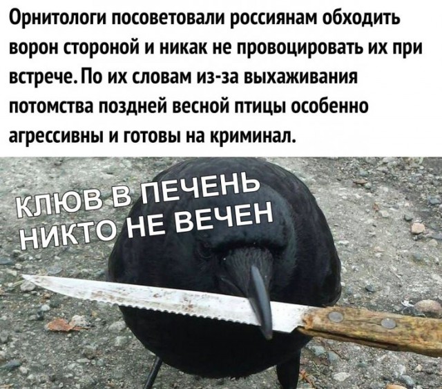 Немного картинок для настроения