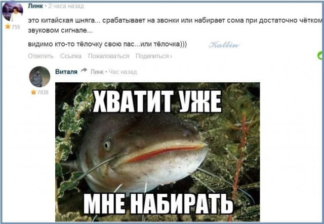 Истории про сома