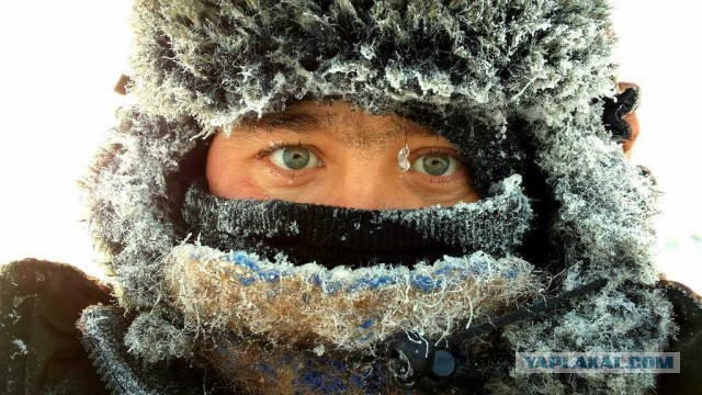 Иностранцы в шоке от жителей Якутии, где температура упала до -59, а люди жалуются, что зима мягкая