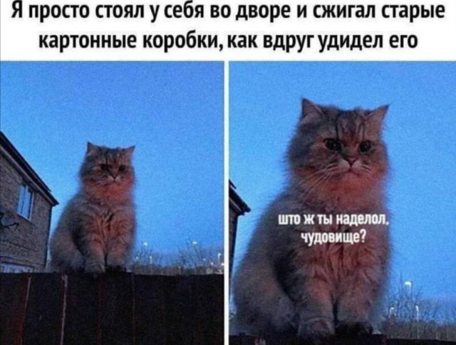 Немного картинок для настроения 07.08.20