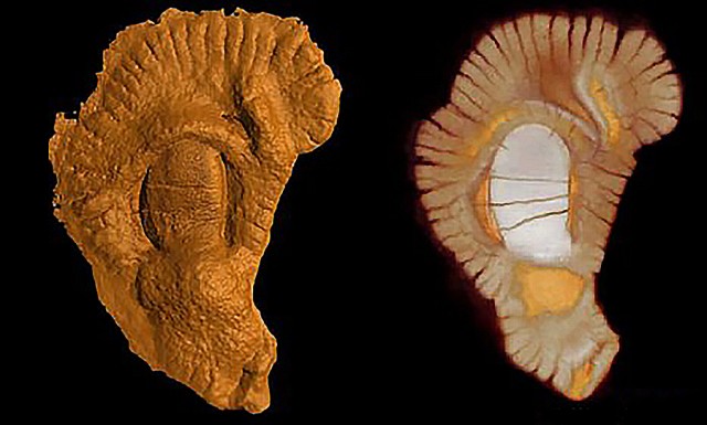 Габонионты: древнее древних. Жизнь 2.1 миллиарда лет назад