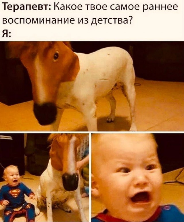 Бредзона 15.12.20