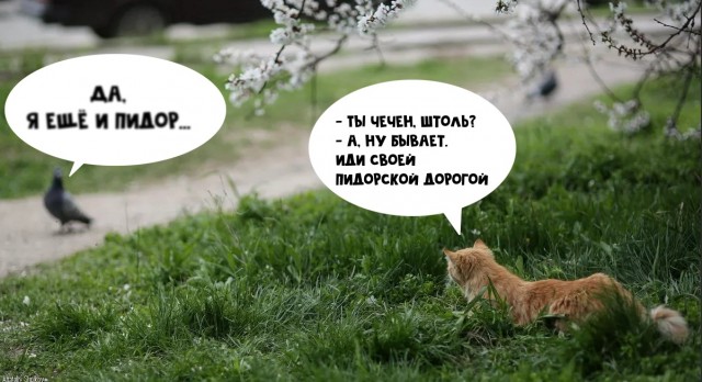 Подкаблучники, кто они и что ими движет