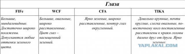 50 оттенков серого