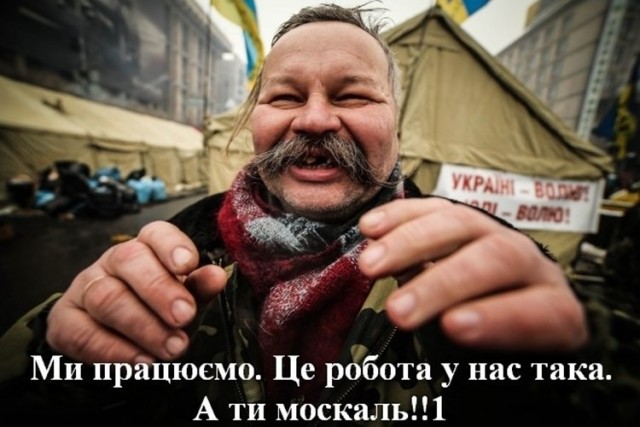 Зиговавшую украинскую националистку лишили австрийской стипендии.