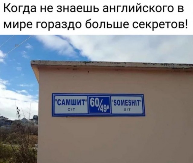 Весёлый полтишок 22.02