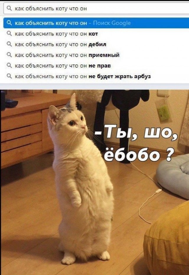 Картинки и мемы для настроения