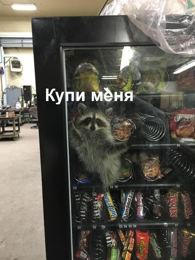 Так себе картинки 11.07.21