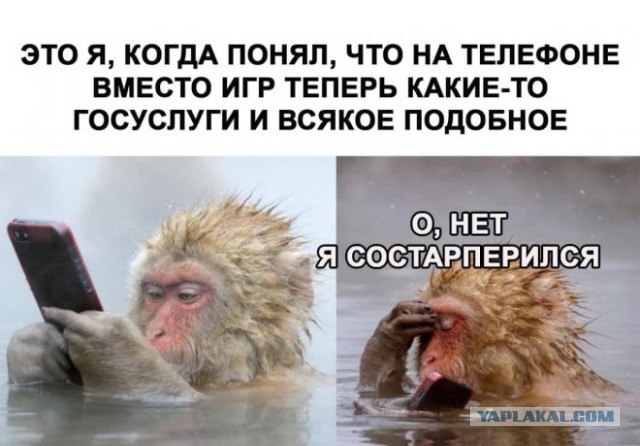 Всякие картинки,  но больше куаркодная и политота