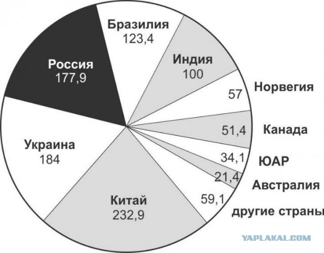 Путин поручил ограничить экспорт некоторой продукции и сырья за рубеж
