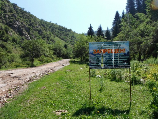 Поход одного дня - Кок-Жайляу