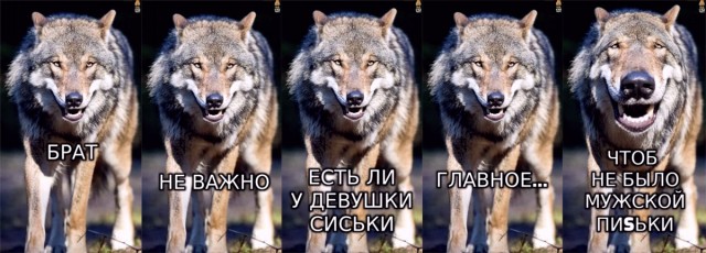 Весна весной, но... Хочу ибаста!